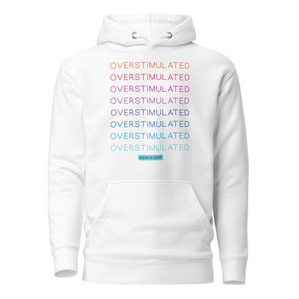OVERSTIMULATED rainbow [ hoodie ]